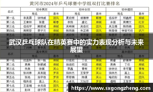 武汉乒乓球队在精英赛中的实力表现分析与未来展望